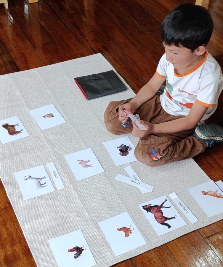 Niño emparejando imagen y palabra, una actividad hacia la lectura total