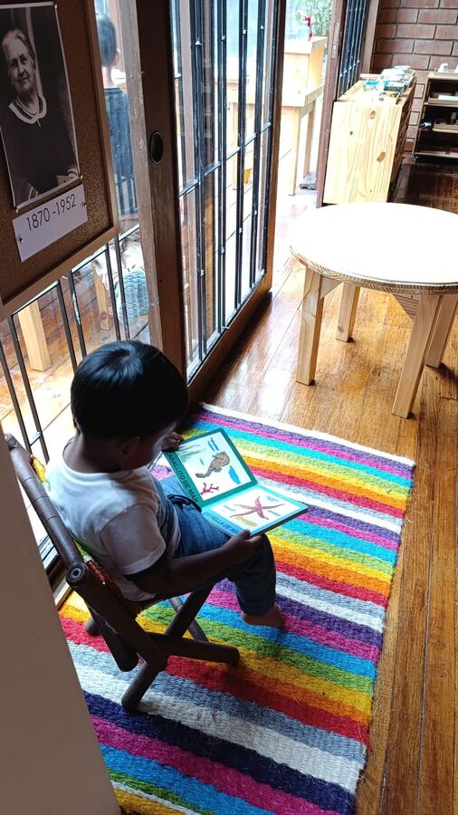 Niño leyendo un libro de palabras con imágenes, una actividad hacia la lectura total