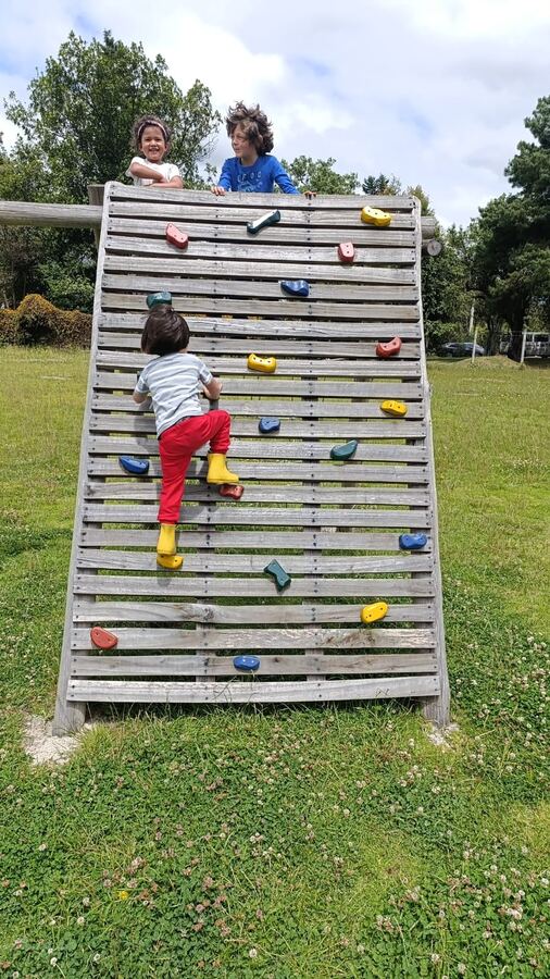 Niños subiendo el muro de escalada en el prado